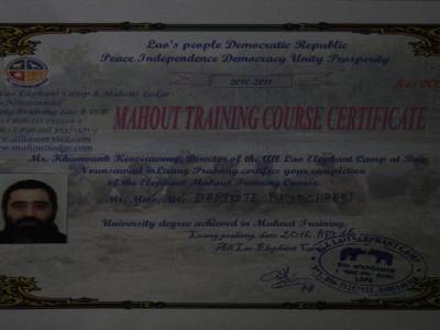 Certificat de 'cornak'