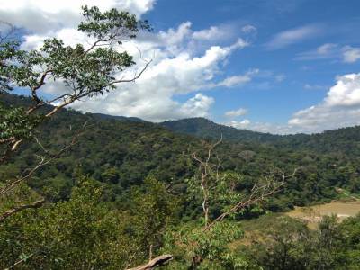 Parc National Taman Negara