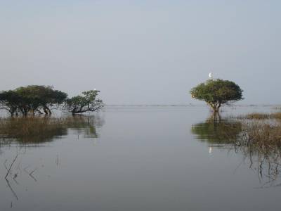 Le lac Tonle Sap