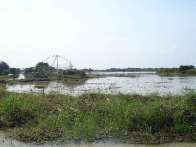 La riviere Sangkor