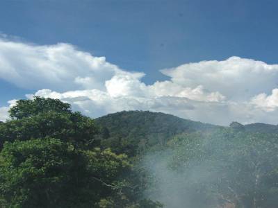 Parc National Taman Negara