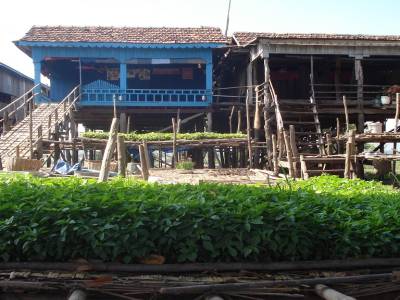 Maisons perchees a Kompong Chnang