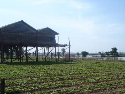 Maisons perchees a Kompong Chnang
