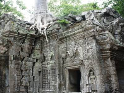 Angkor, le Ta Prohm, temple de Lara Croft... Ici, la végétation est restée très présente et nous découvrons un temple où pierres et végétations sont enchevêtrés.
