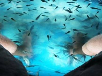 Des centaines de petits poissons viennent nous manger nos peaux mortes. Sensations surprenantes!