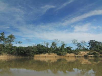 Parc National Taman Negara