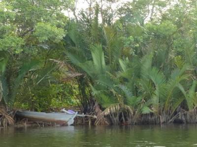 Ballade en bateau