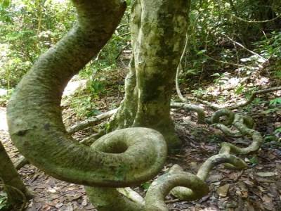 Réserve de Kep