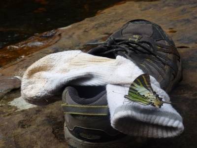 Trek