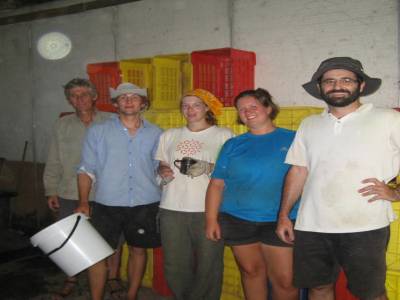 Apres une journee de vendanges. Equipe de wwoofer