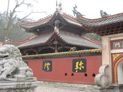 Petit singe sur le toit du temple