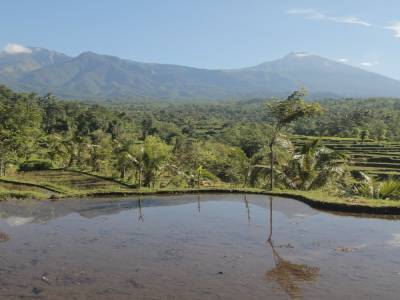 Tetebatu