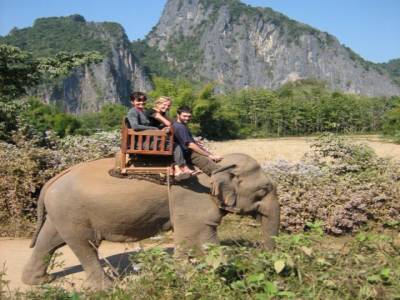 la compagnie des elephants