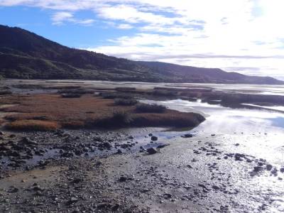 Abel tasman N.P.
