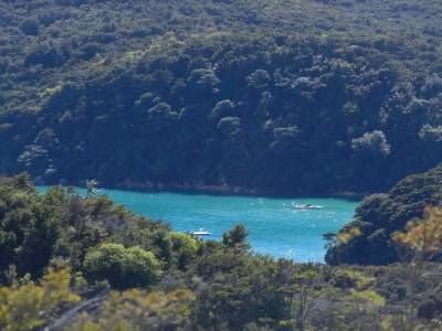 Abel tasman N.P.