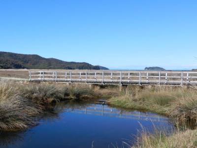 Abel Tasman