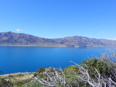 Lake Wanaka