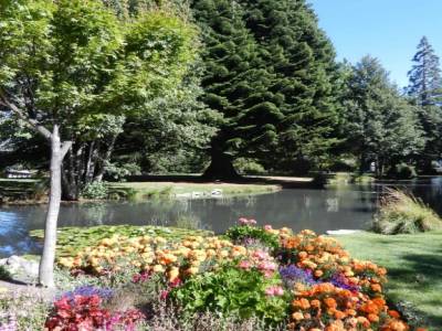 Botannic garden au bord du lac