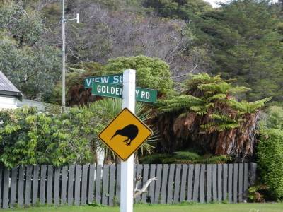 Attention kiwis !