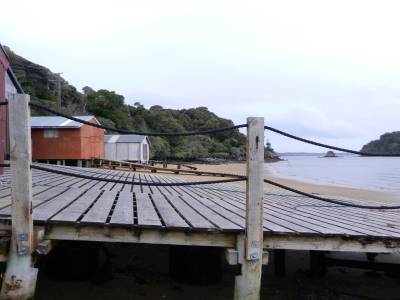 Stewart Island