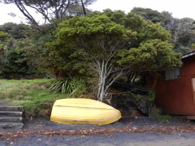 Stewart Island