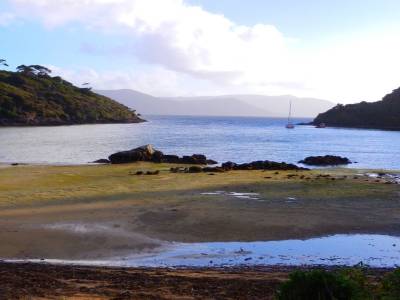 Stewart Island