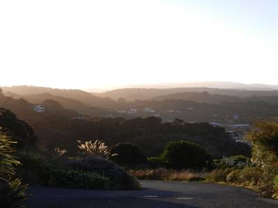 Stewart Island
