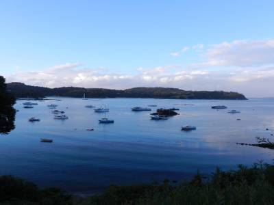 Stewart Island