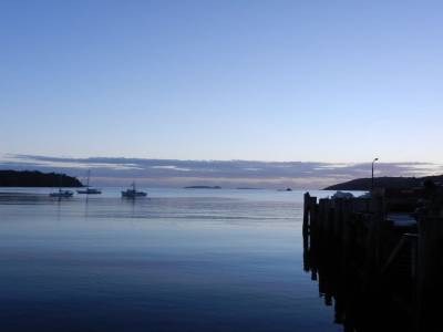 Stewart Island