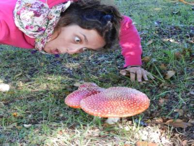 Champignon la lèeeereeerrr !