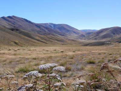 En chemin pour le Mt Cook