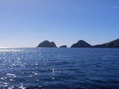 Bay of islands