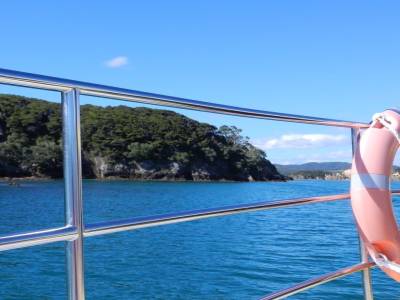 Bay of islands