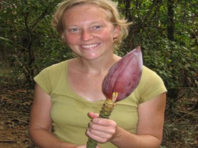 Fleur de Banane
