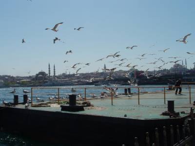 Le Bosphore ....