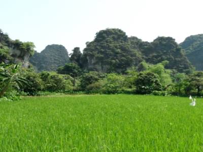vers Ninh Binh