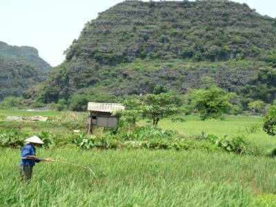 vers Ninh Binh