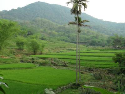 Mai chau