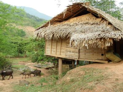 Mai chau