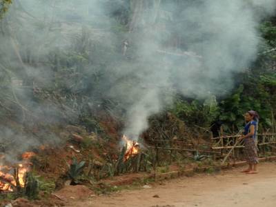 Mai chau
