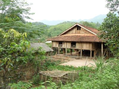 Mai chau
