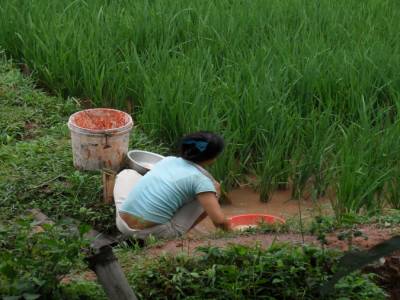 Mai chau