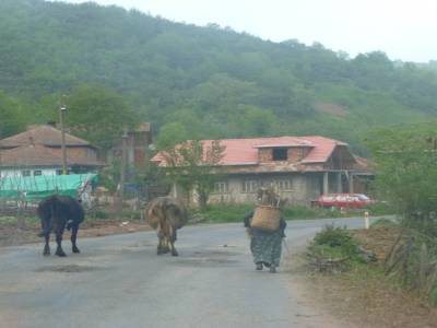 Route sinueuse Amasra - Sinop