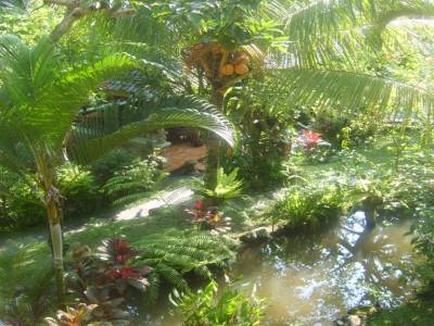 Ubud