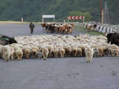 Route militaire georgienne
