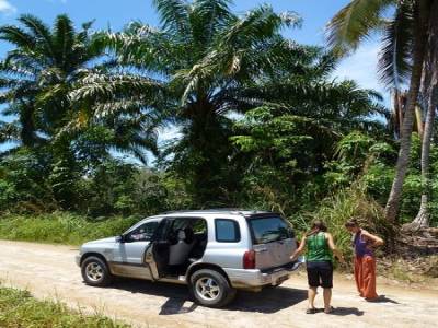 Sur la route vers Bukit Lawang