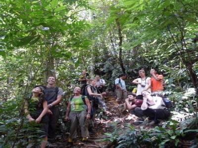 Seuls dans la jungle