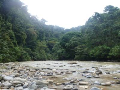 La rivière qu'on va descendre en "raft"