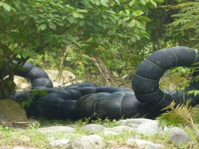 Le  "raft"