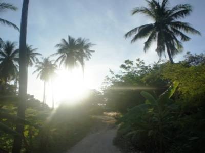 Ko Tao
